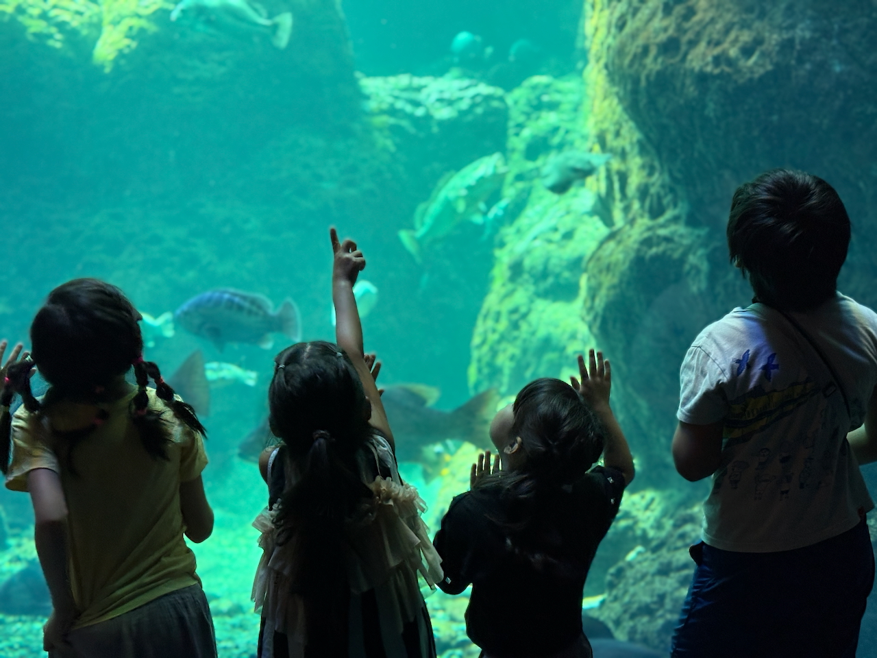 相模湾を感じよう、イワシのモービルを作り・新江ノ島水族館